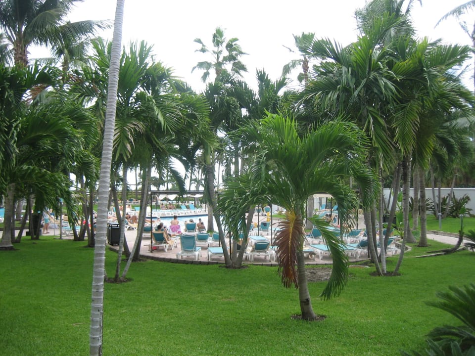 Gepflegter Gartenbereich Hotel Riu Plaza Miami Beach