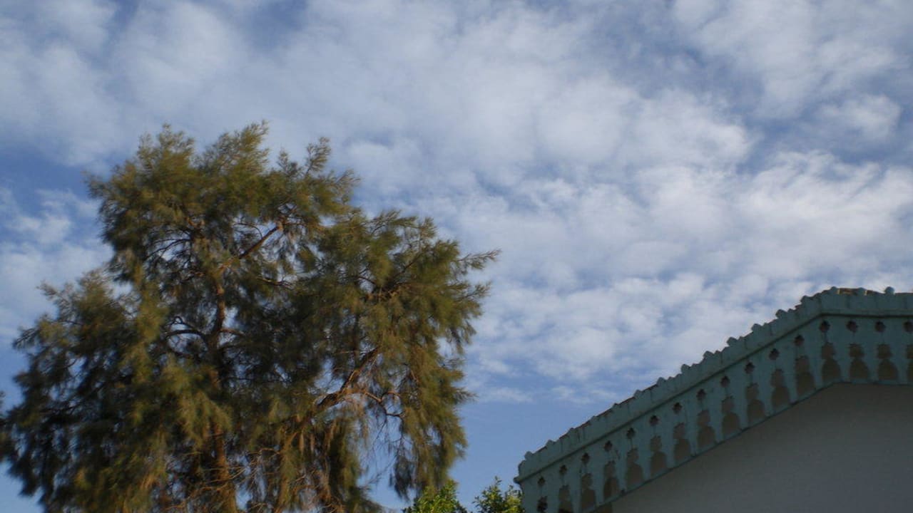 Seltener Anblick in Ägypten  Ghazala Beach