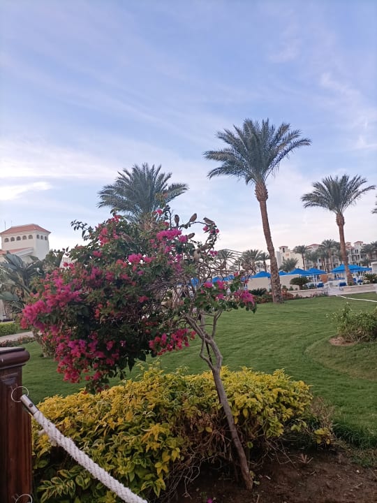 Außenansicht Pickalbatros Dana Beach Resort - Hurghada