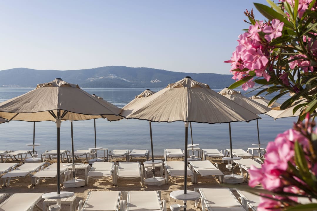 Beach Asteria Venus Didim