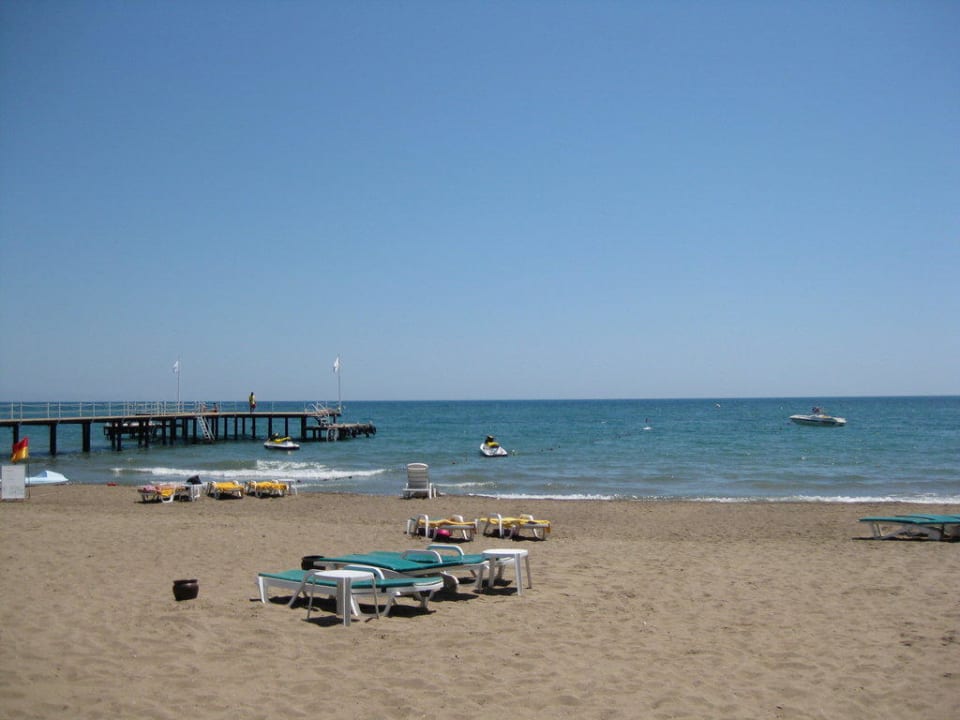 Strand Papillon Ayscha