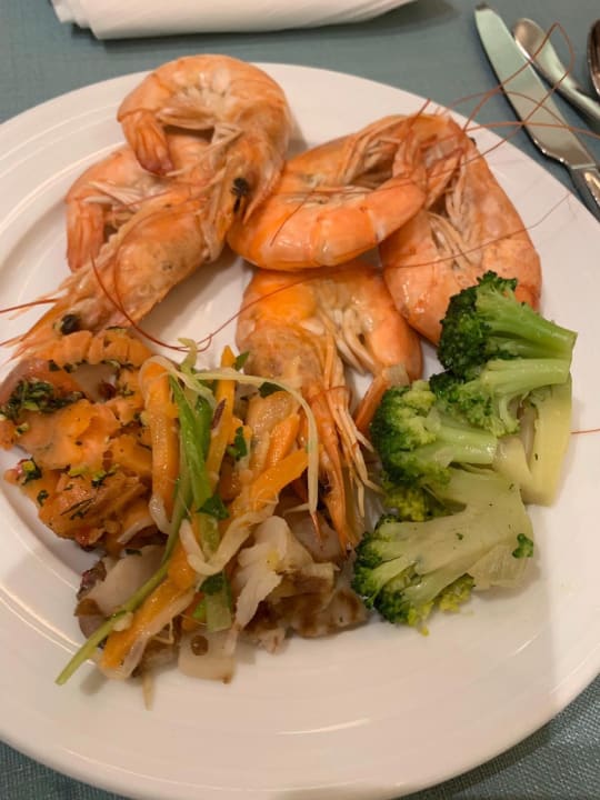 Gastro Acanthus Cennet Barut Collection