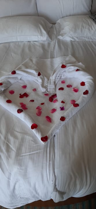 Zimmer Seaden Quality Resort & Spa