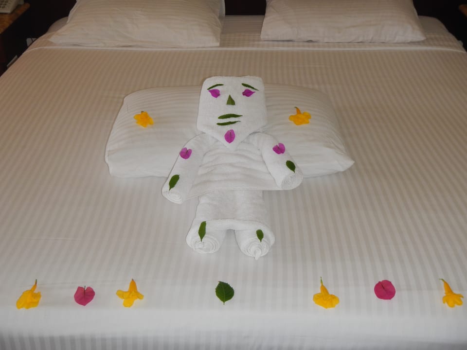 Zimmer Malikia Resort Abu Dabbab