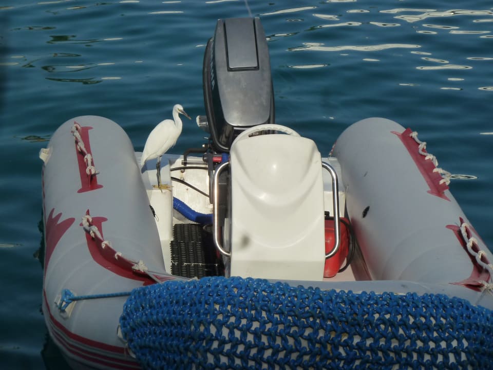 Citadel Azur - Resort & Spa - Marina Pickalbatros Citadel Resort