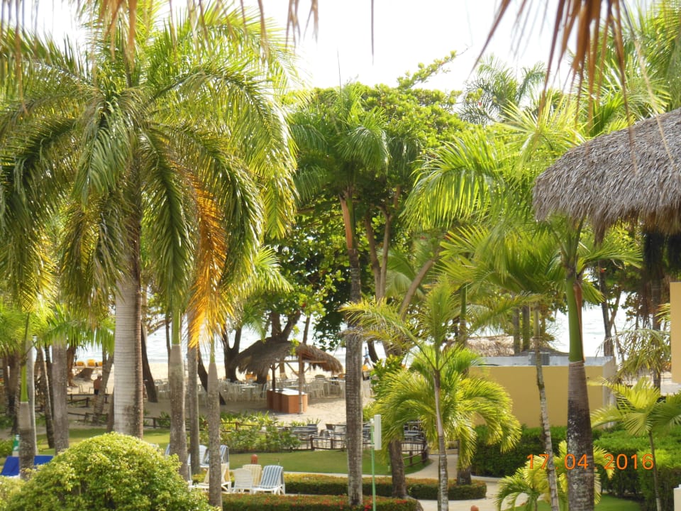 Blick vom Zimmer Richtung Meer Iberostar Waves Costa Dorada