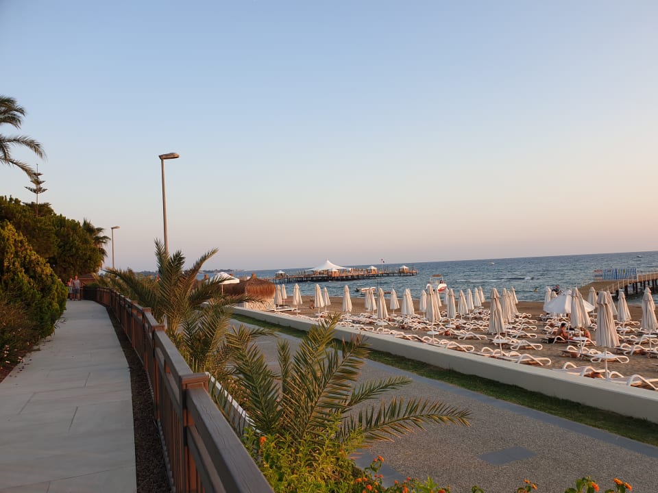 Strand PALOMA Perissia