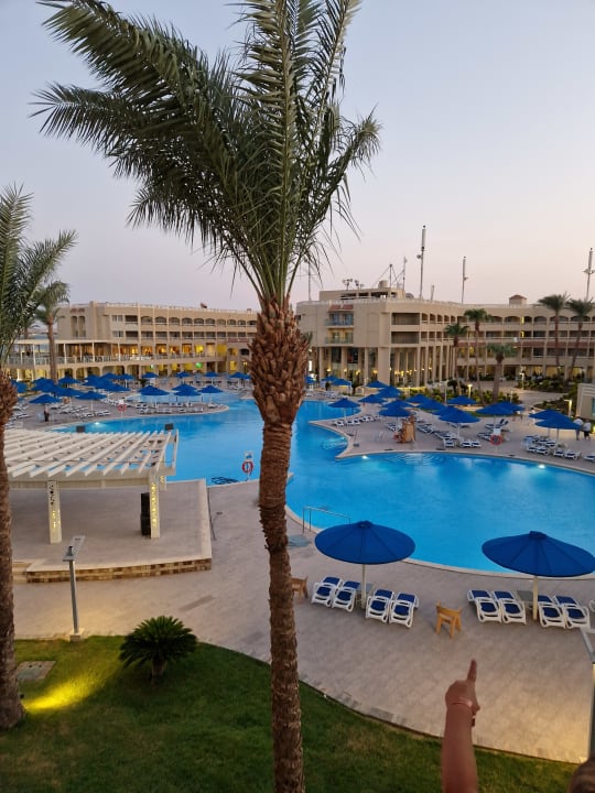 Pool Beach Albatros Resort