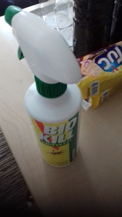 Zimmer Valamar Parentino Hotel