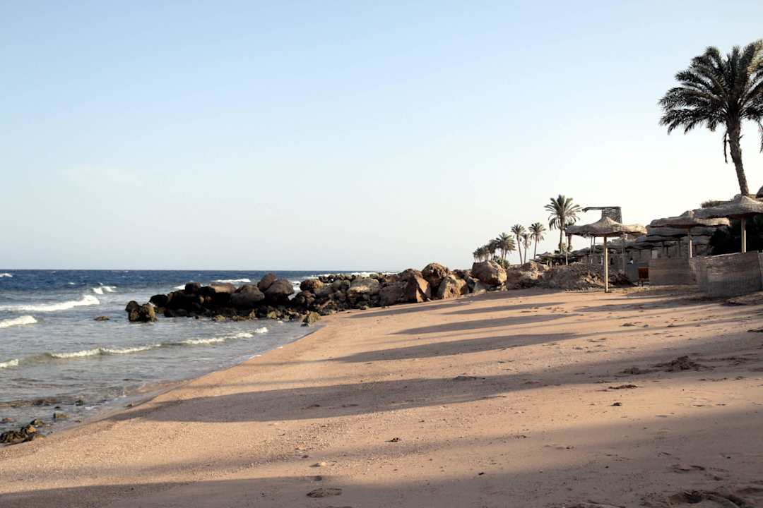 Ein Strandabschnitt Pickalbatros Citadel Resort