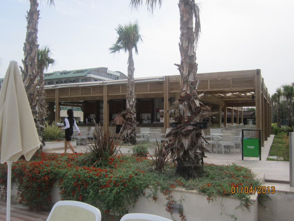 Pool Bar Sentido Trendy Verbena Beach