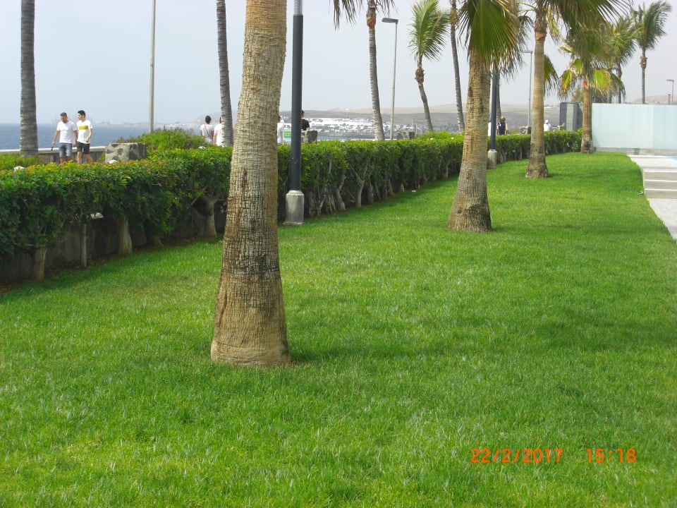 Gartenanlage Hotel Riu Gran Canaria