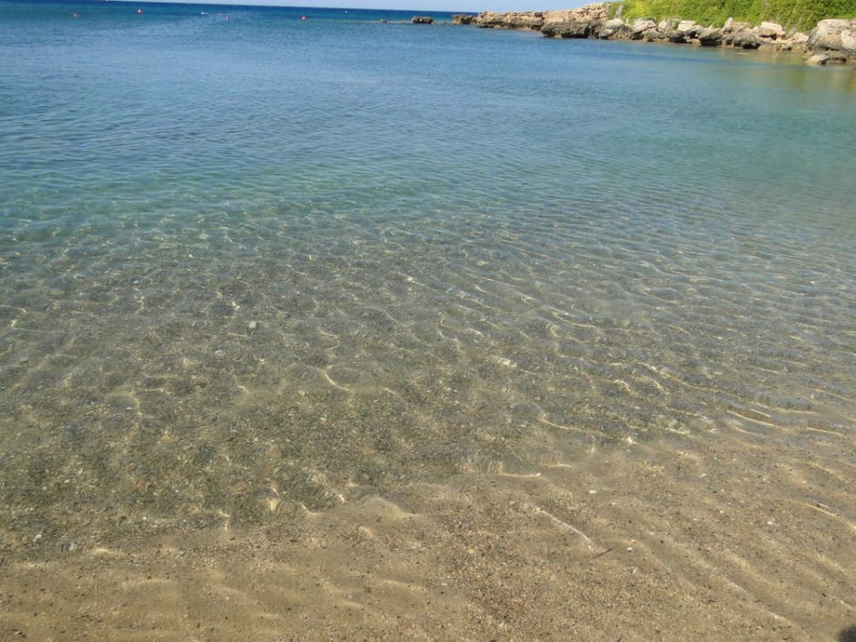 Crystal Springs Beach Hotel Crystal Springs Beach Hotel