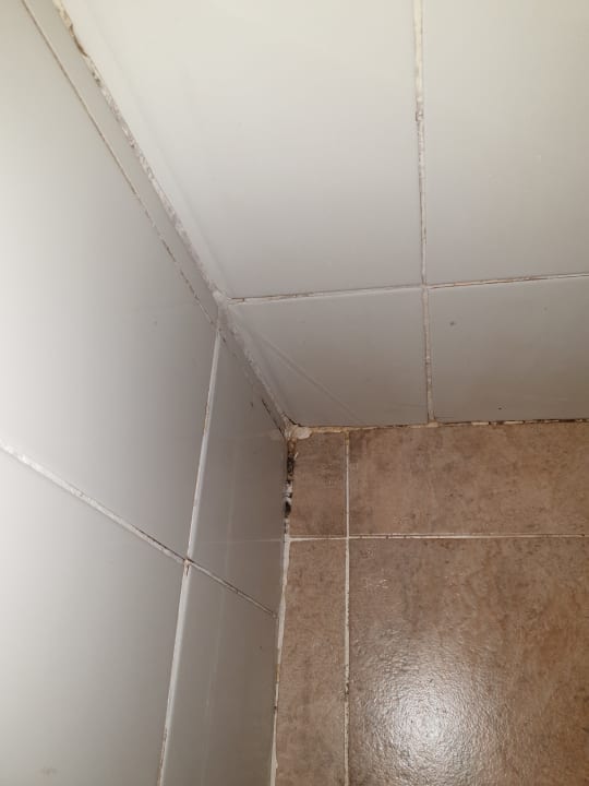 Zimmer Hotel Falcon Naama Star