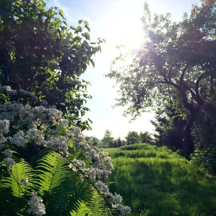 Garten Landhof Liebsch