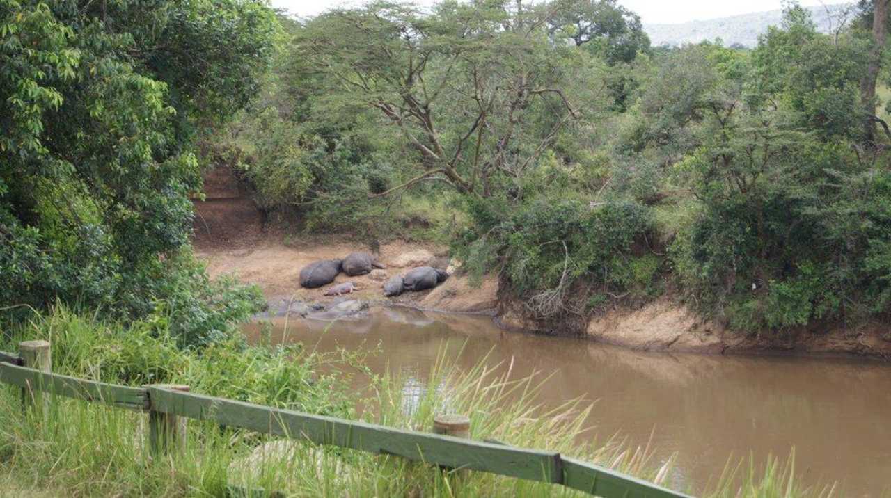 Marafluss unter der Lodge Baobab Holiday Resort
