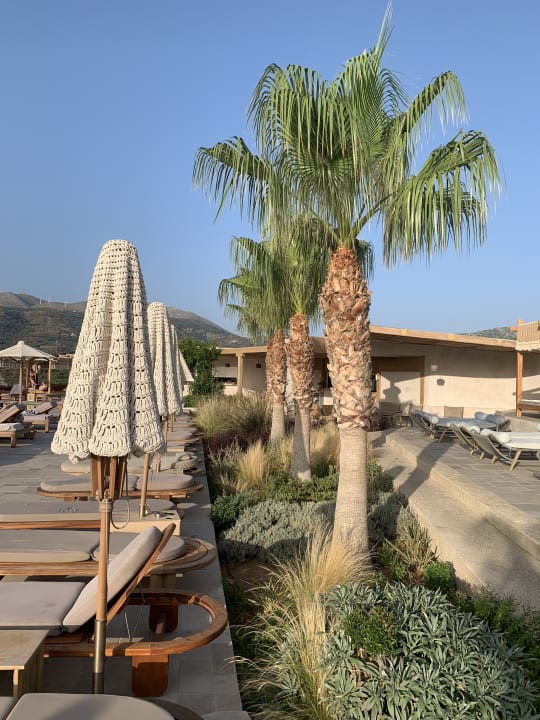 Gartenanlage Seaside A Lifestyle Resort