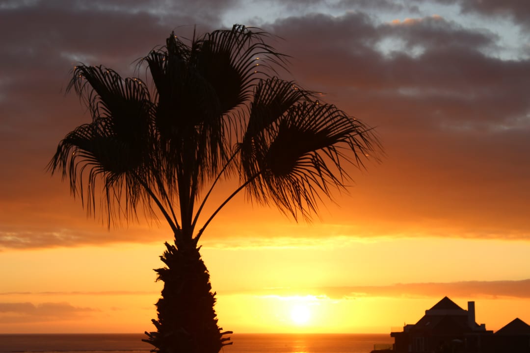 Ausblick Adrián Hoteles Colón Guanahaní - Adults only