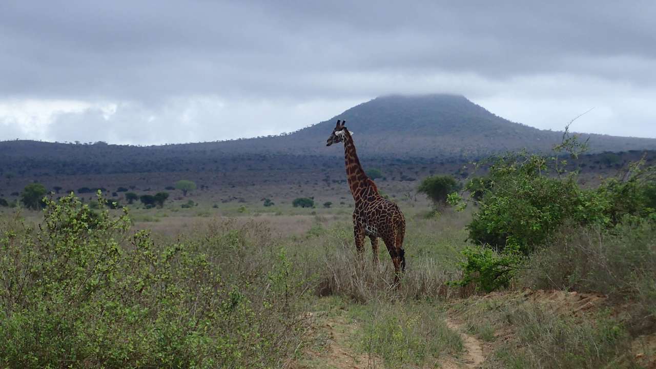 Ausblick Rhino Valley Lodge