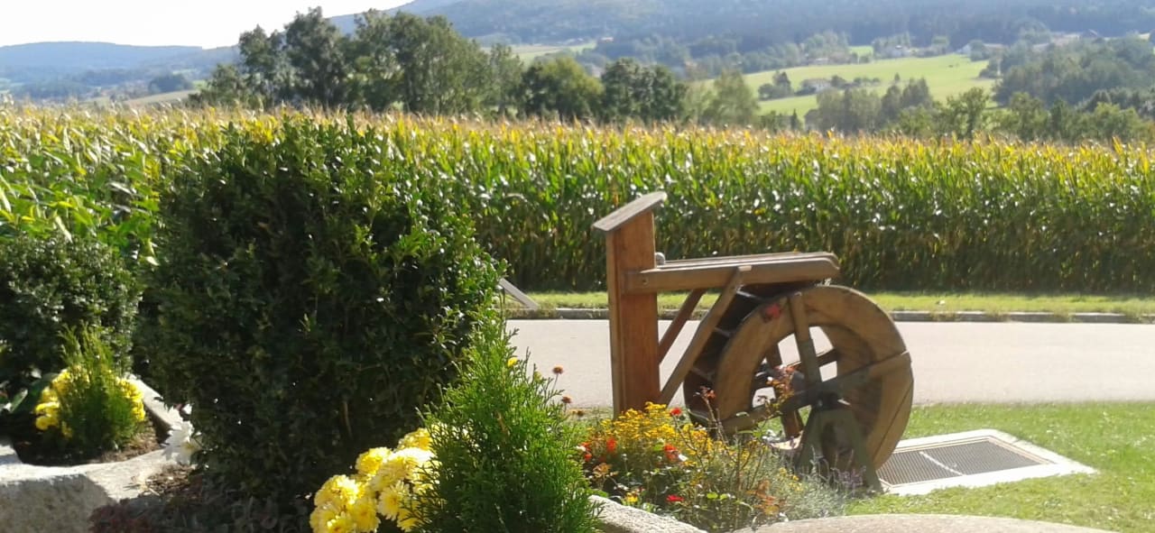 Ausblick Schuniglhof /  Ferienwohnungen