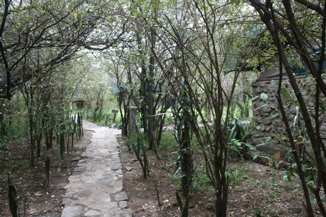Weg zum Zelt Aruba-Mara Camp