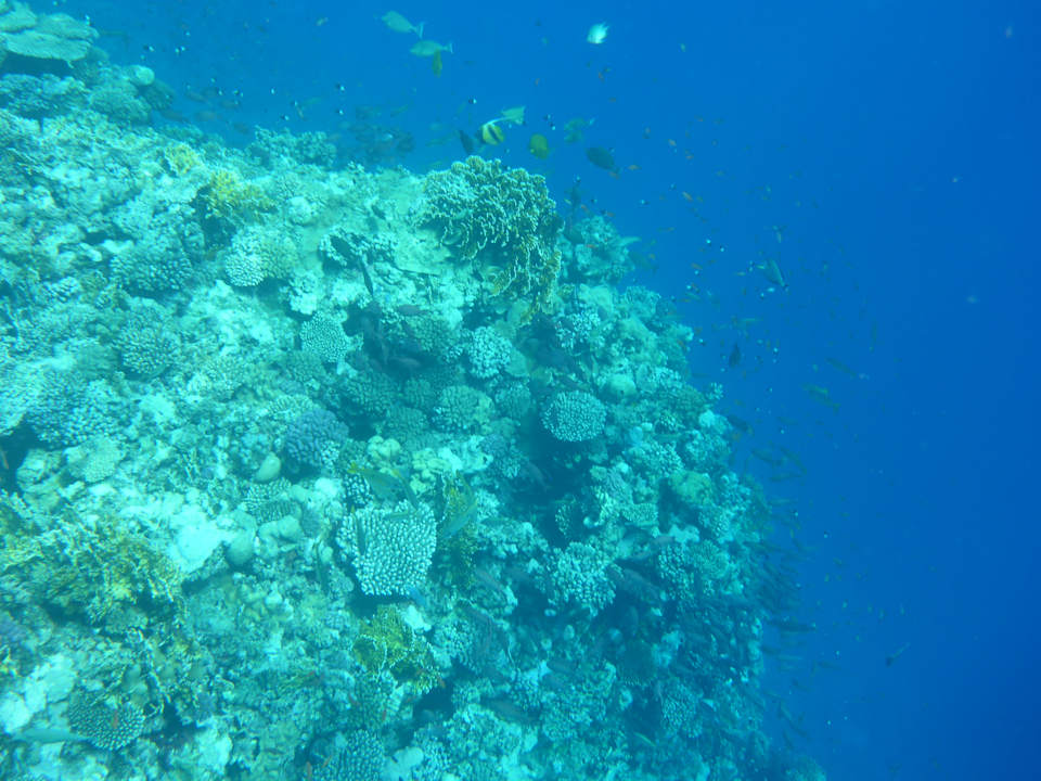 Strand Diamond Beach by Pearl Resort