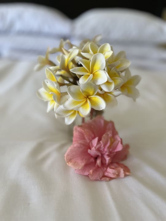 Zimmer Casa Mare Resort