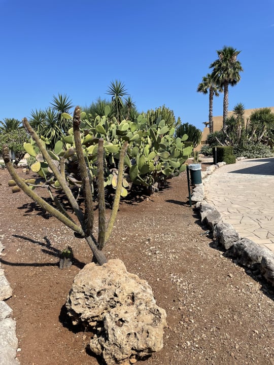 Gartenanlage VOI Arenella Resort