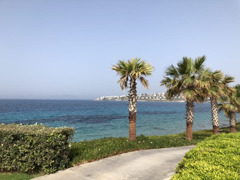 Gartenanlage Xanadu Island Hotel