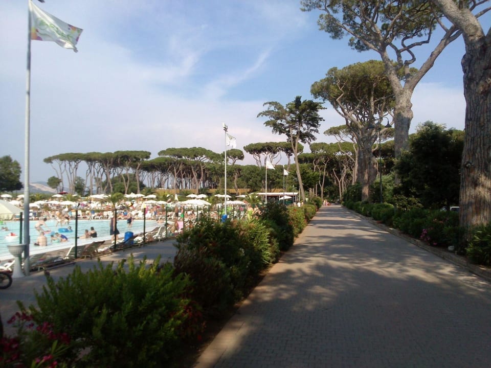 Pool und Außenanlage Park Albatros Village