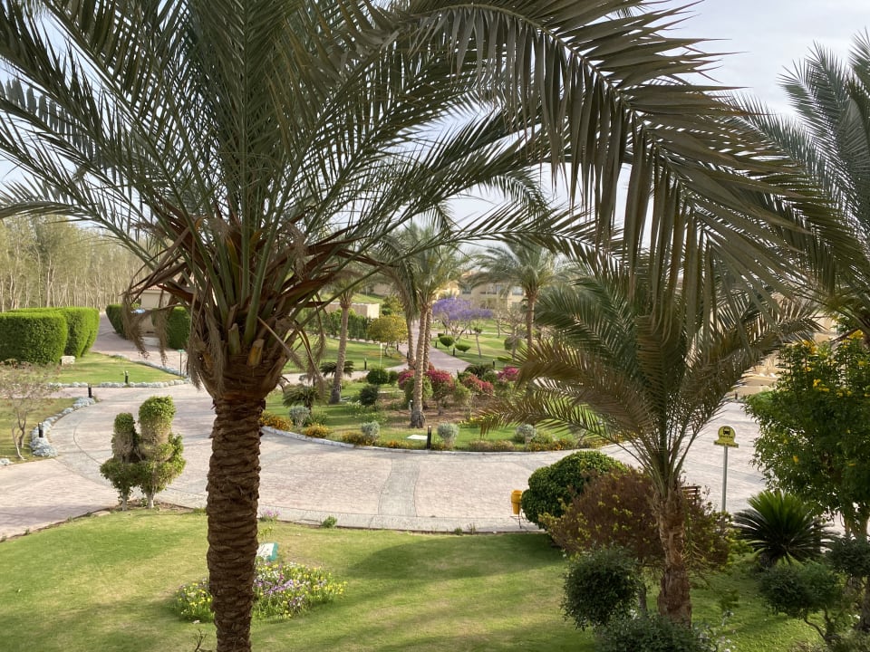 Gartenanlage Cleopatra Luxury Resort Makadi Bay
