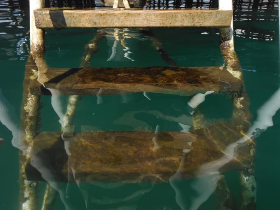 Plaża pomost molo Royal Seginus