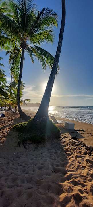 Strand Viva V Samana by Wyndham – Adults Only