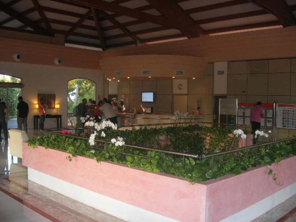 Lobby & Eingang Zafiro Mallorca
