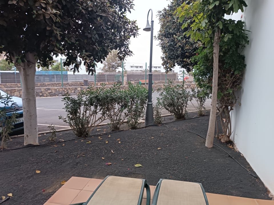 Ausblick allsun App.-Hotel Albatros