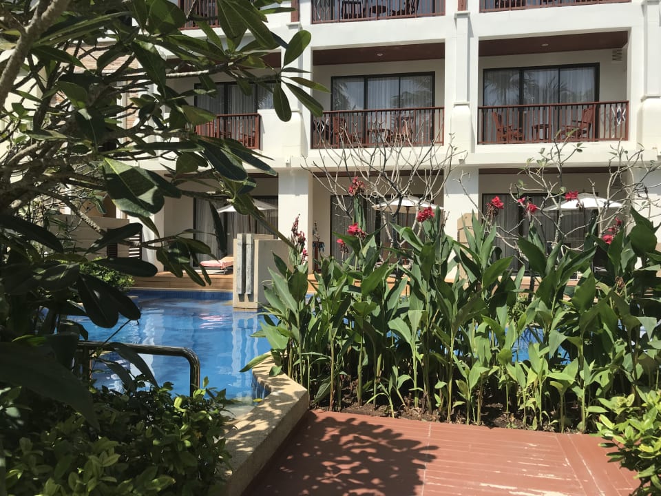 Pool Apsara Beachfront Resort & Villa - Resort