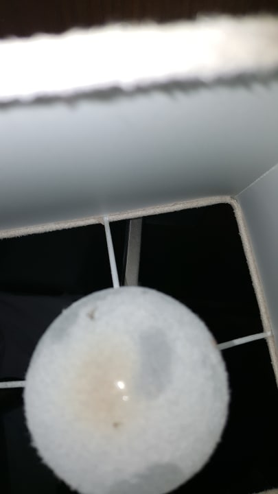 Zimmer Hotel Königstein Kiel by Tulip Inn