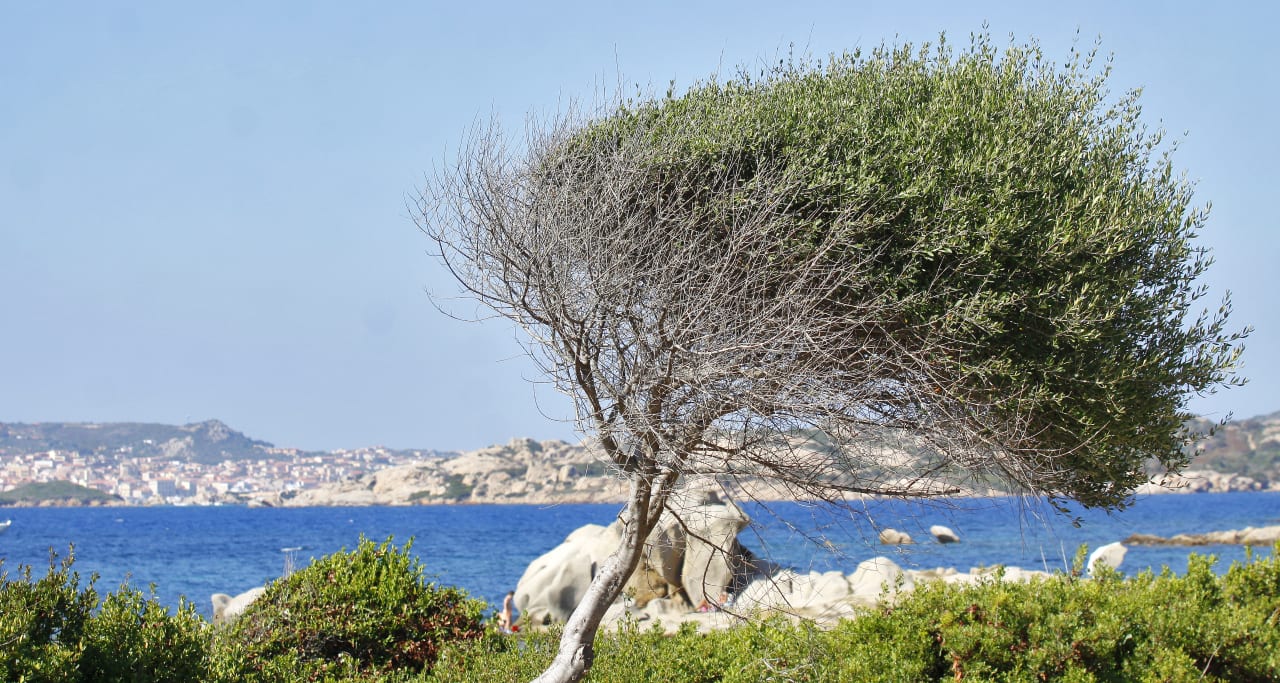 Ausblick Club Esse Residence Capo d'Orso