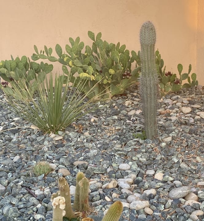 Gartenanlage Anissa Beach & Village