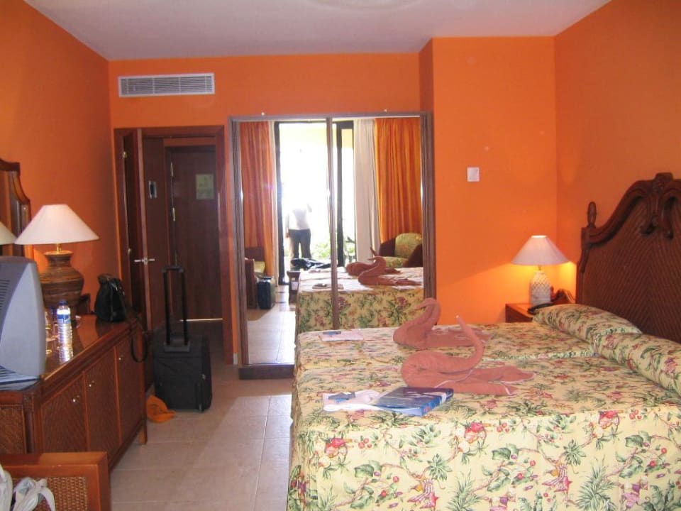 Zimmer 2017 La Palma Princess