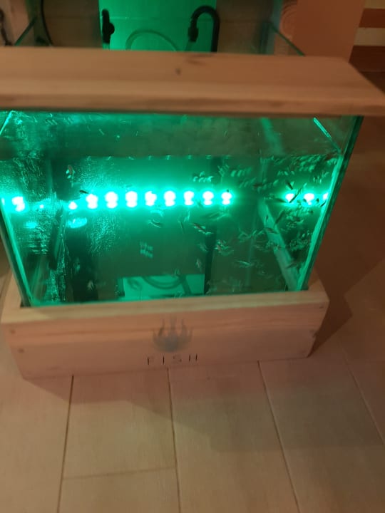 Sport & Freizeit Sunscape Puerto Plata