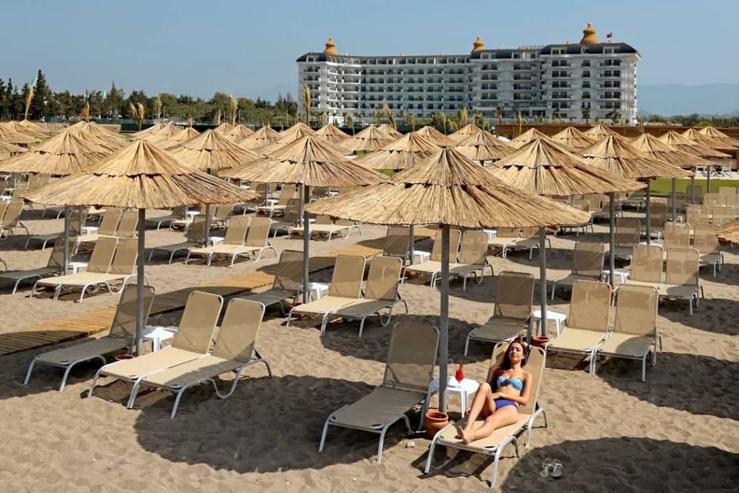 Beach Asteria Bloom Side