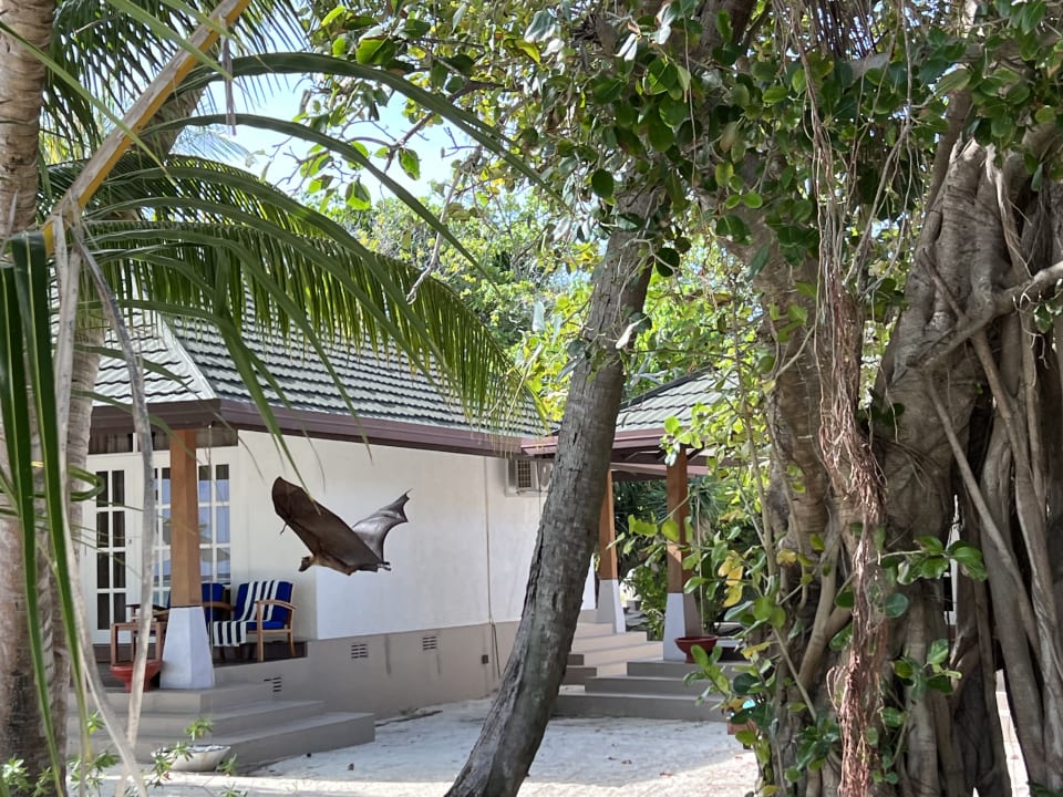 Außenansicht Adaaran Select Meedhupparu Island Resort - Premium All Inclusive