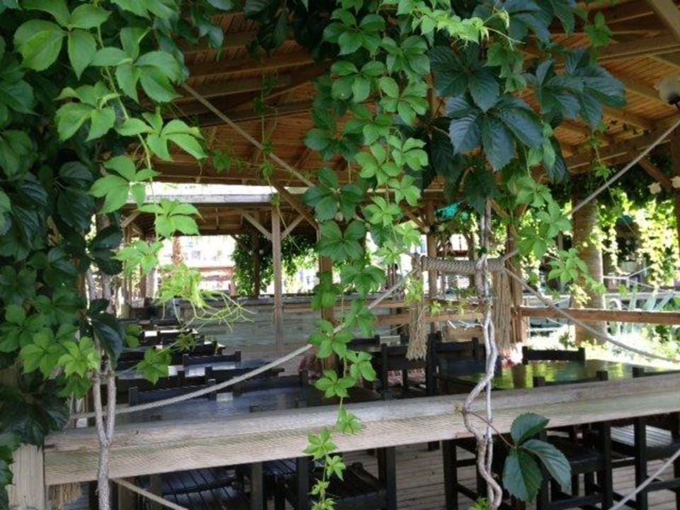 Chardak-Grill Arycanda Kirman Premium