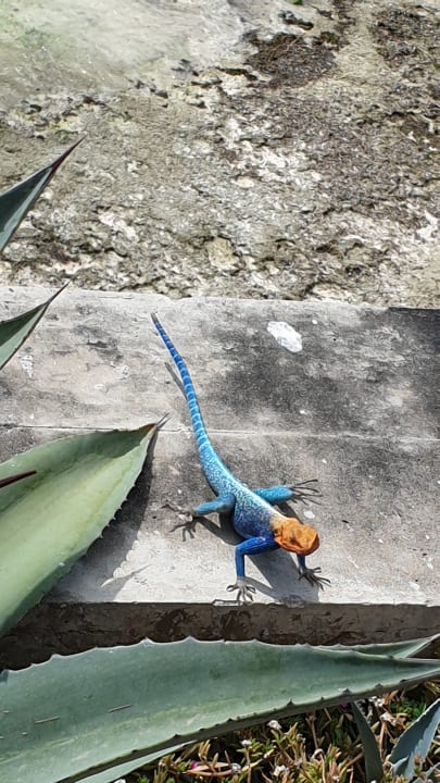 Sonstiges Bahari Beach Hotel