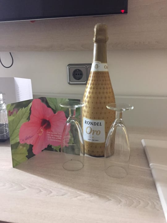 Aufmerksamkeit der Rezeption zum Geburtstag Grupotel Acapulco Playa - Adults Only