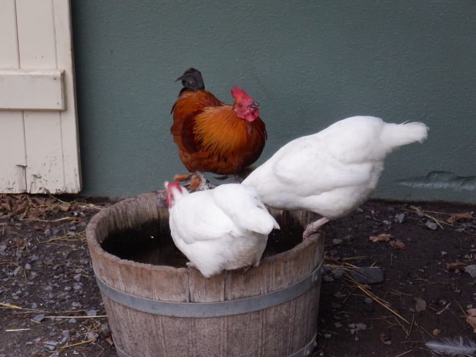 Sport & Freizeit Center Parcs Le Lac d'Ailette