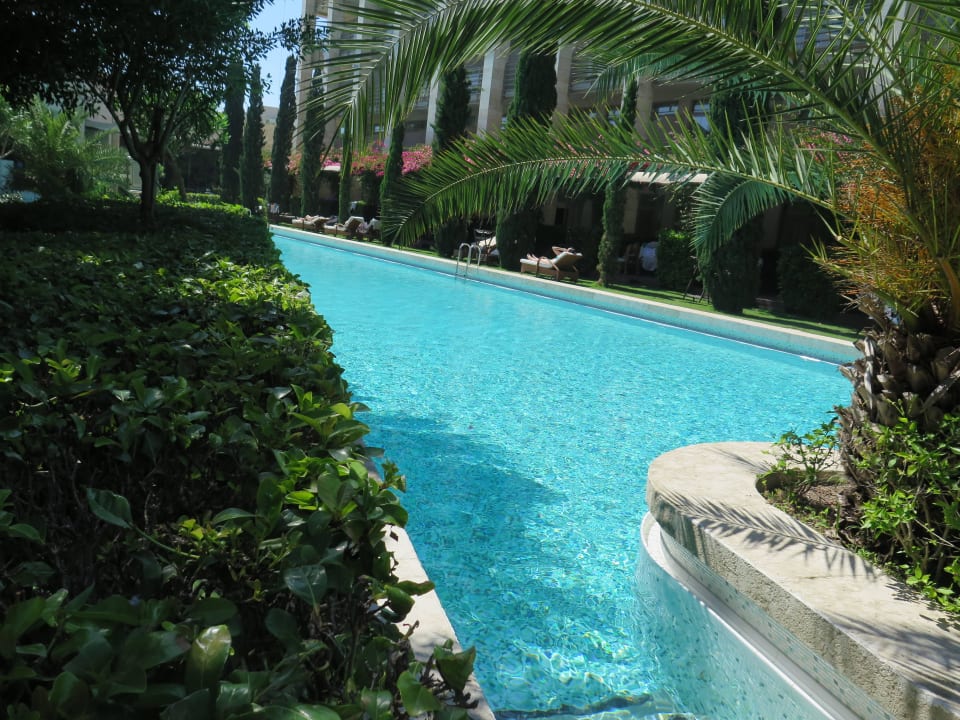 Pool mit Meerwasser Gloria Serenity Resort