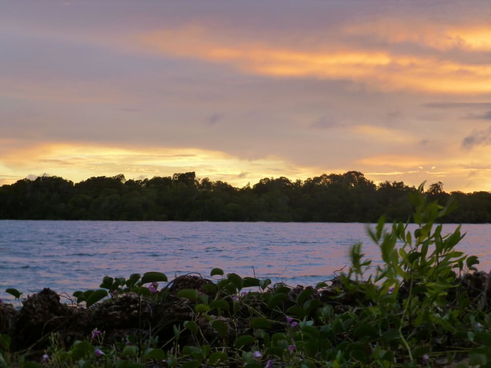 Ausblick aus dem Zimmer Hotel The Funzi Keys