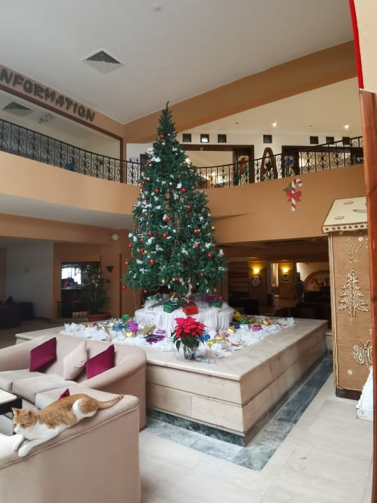 Lobby Giftun Azur Resort